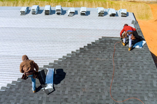 Best Roof Repair Services  in Nutter Fort, WV
