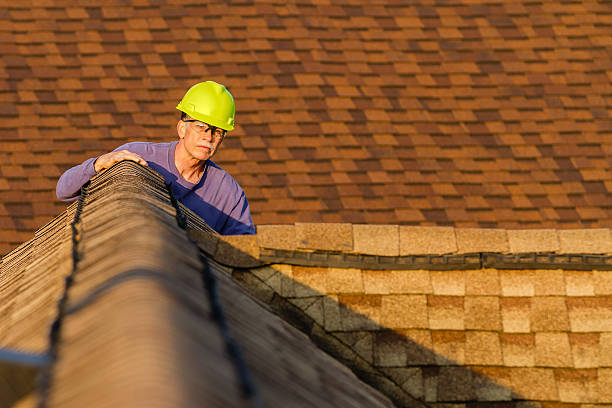Best Gutter Installation and Roofing  in Nutter Fort, WV