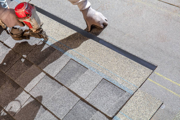 Best Roof Maintenance Services  in Nutter Fort, WV