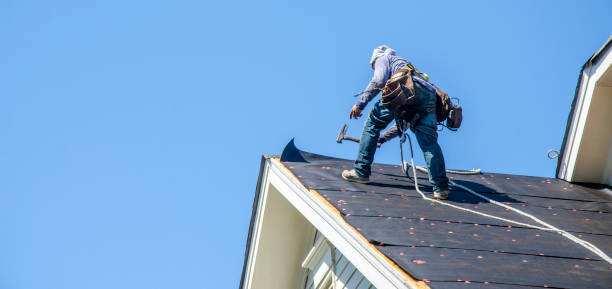 Best Flat Roof Repair Services  in Nutter Fort, WV